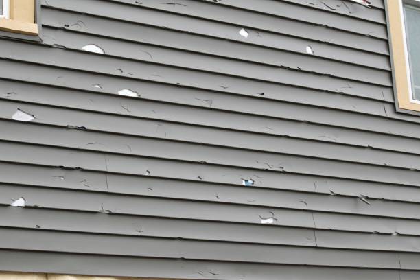 Best Custom Trim and Detailing for Siding  in Clayton, AL